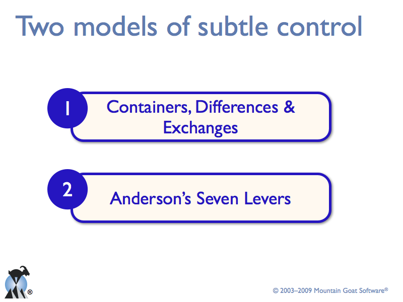 Self-Organization & Subtle Control: Friends or Enemies?